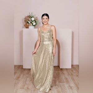 Revelry Sequin Hazel Dress | Size 10